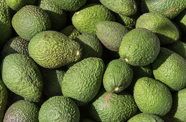 Aguacates de La Palma