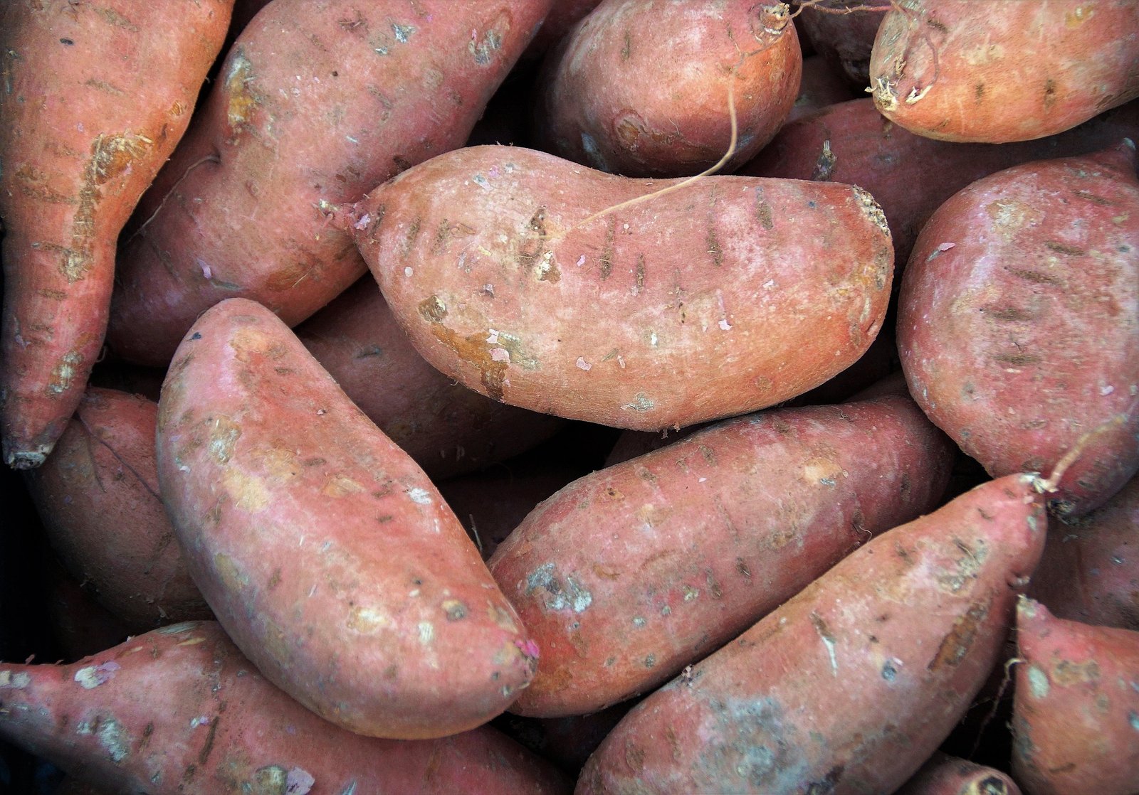 Batatas